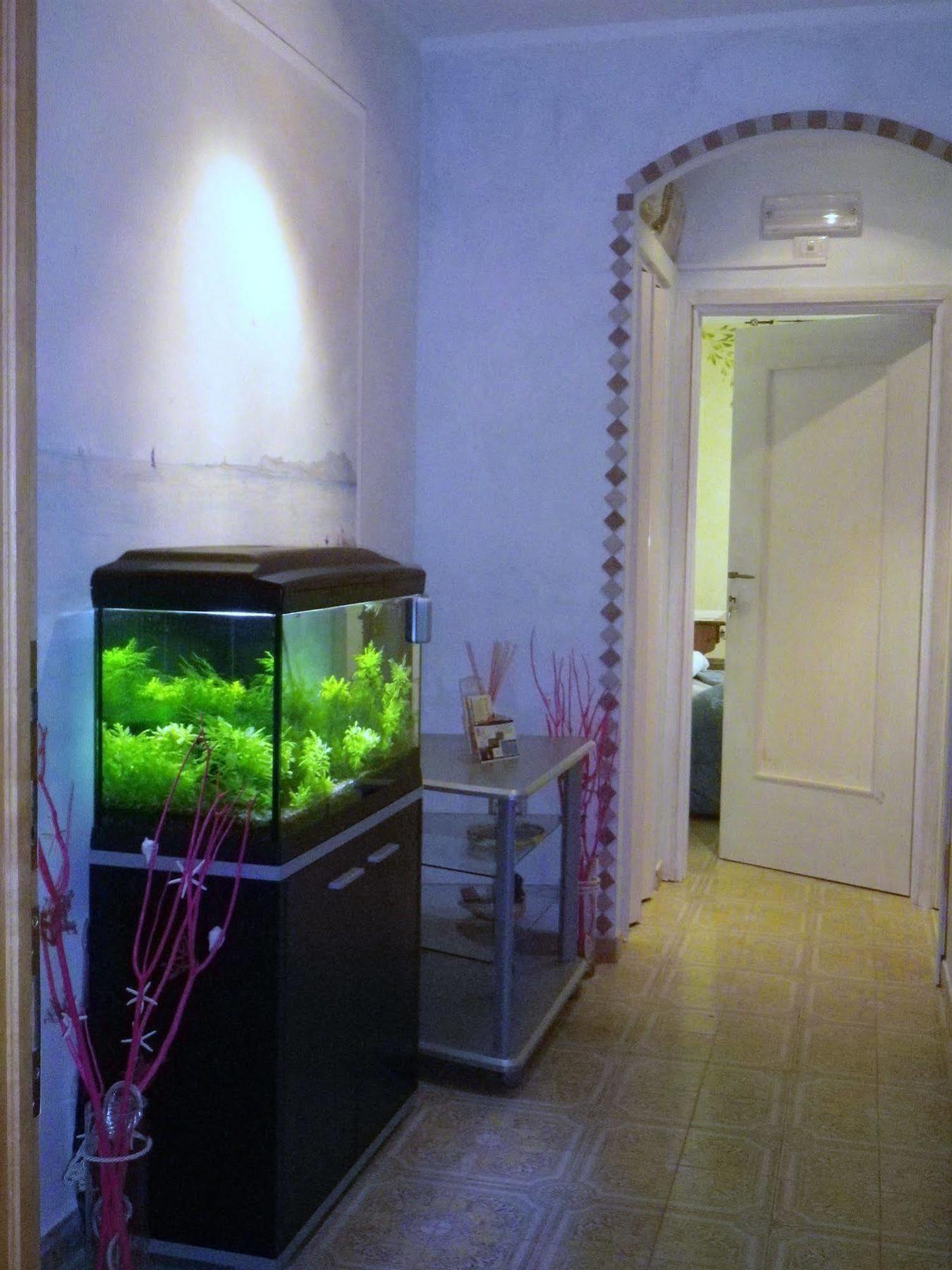 Elisart Guest House Alghero Luaran gambar